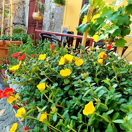 B&baglio Дом отдыха *